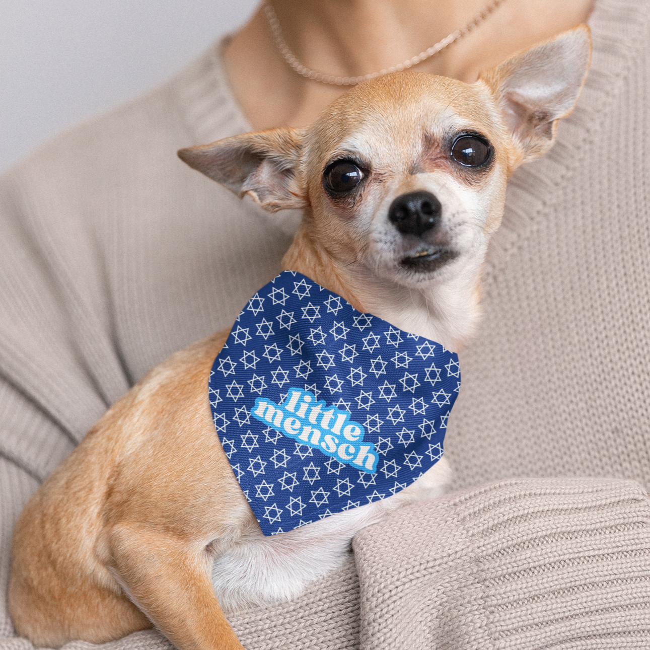 Dog cat Bandana Good Jewish Dog Hanukkah holiday blue Menorah candle Passover rosh hashanah yom kippur shavuot